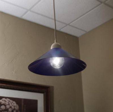 Globe Light Bulbs